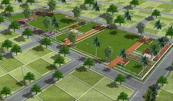Featured Image of Arvind Orchards
